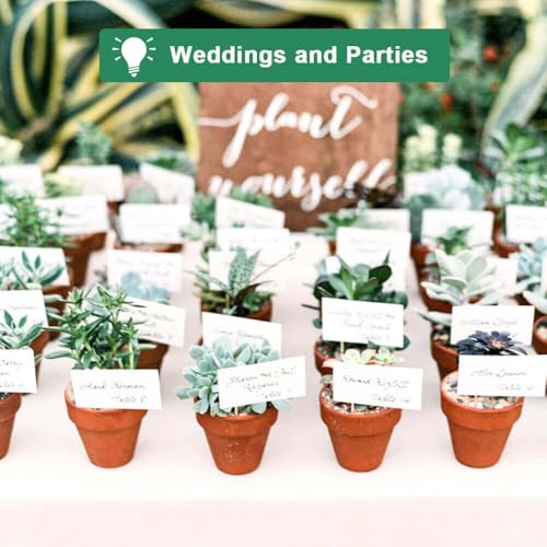 vensovo 3 Inch Terra Cotta & Terracotta Pots with Drainage - 20 Pack Clay Flowerpots, Succulent Nursery Planter Great for Plants, Crafts, Wedding Favor by vensovo - Image 7