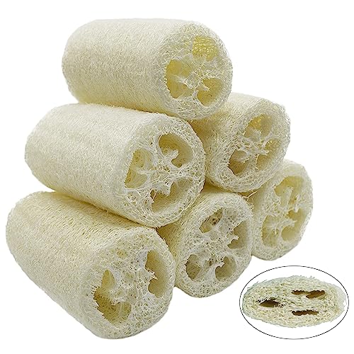 6 esponjas de luffa naturales, 10 cm, pepino, para eliminar la piel muerta, para el cuidado del cuerpo, baño y ducha, para la cocina, esponja de luffa natural exfoliante (comprimida)