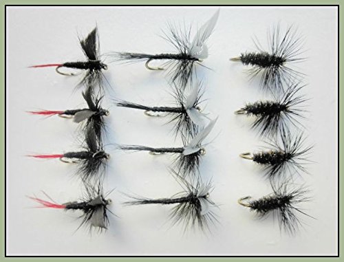 12 sec truite mouches, moucheron Noir/Rouge étiquettes moucheron, noir & Paon, Choix de Tailles disponibles All Mixed