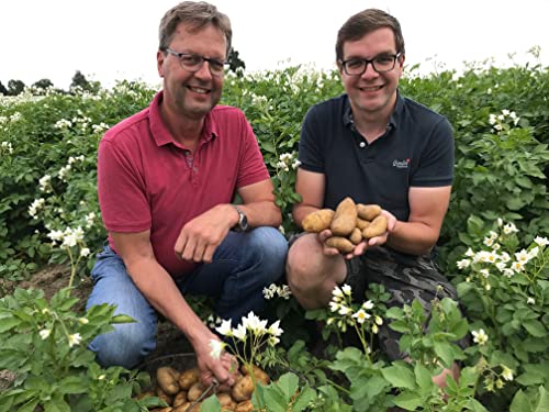 Pflanzkartoffeln Hof-Burmeister 5 kg Rote Laura vorwiegend festkochend