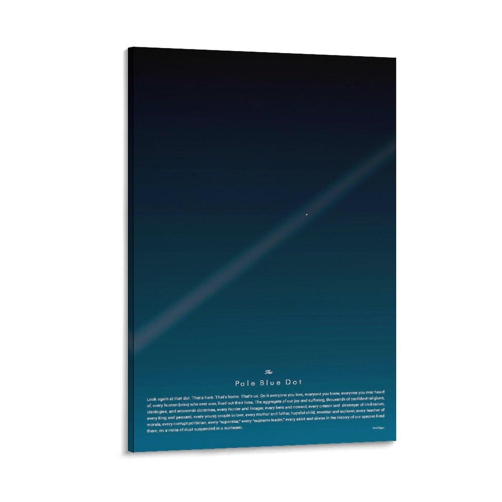 Carl Sagan The Pale Blue Dot, Astronomy Motivational Minimalist Art PosterS For Room Aesthetic Canvas Bathroom Art Wall Decor Photo Prints 24x36inch(60x90cm)