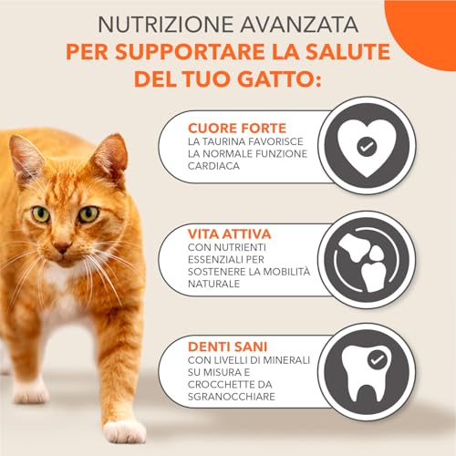 Iams Cibo Secco Per Gatti Senior Con Tonno - Alimenti Secco Per Gatti Anziani Dai 7 Anni, 3 Kg - 4