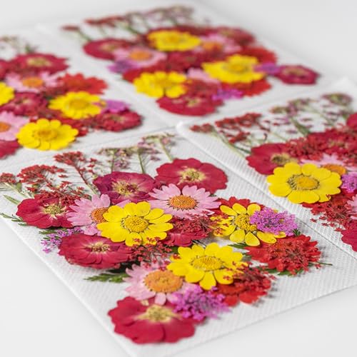 Set de flores secas prensadas para manualidades miniatura 6