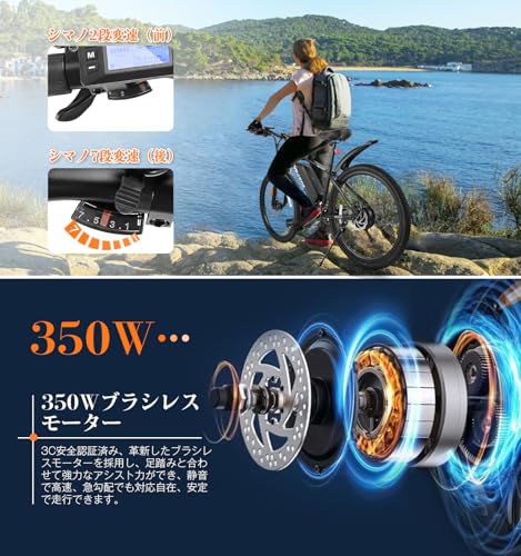 Vigobik 電動アシスト・マウンテン自転車 の商品画像 3