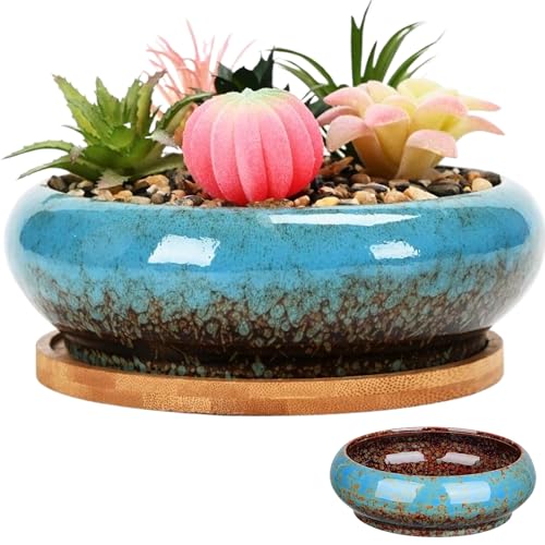 SMELEYOU Lotus Bowl Planter for Lotus Flower Seeds Ceramic Glazed Plant Pots Indoor Round Bonsai Pot Decorative Shallow Hydroponic Planter without Drain for Water Lily, Blue