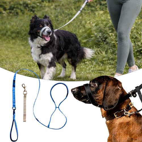 Vitipaw Laisse Chien Anti-Traction Robuste avec Poignée Rembourrée et Collier Assorti - Corde de Nylon Réfléchissante pour Balade et Éducation Canine (Bleu)