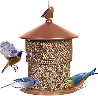 Mosloly - Wild Bird Feeder Metal Outside - 3.15KG(7lb) Seed Capacity - 6 Perches, Garden Decoration, Attract Wild Birds