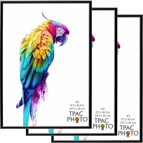 Image of The Photo Album Company Limited | A3 Black Poster Frame Pack of 3, 43.1x31cm, Plastic, Foil Wrapped | Acrylic Front, Drop-In Back, Wall Mount | Modern Display for Photos or Certificates
