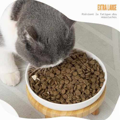 Gamelles pour chat amical pour les moustaches avec support