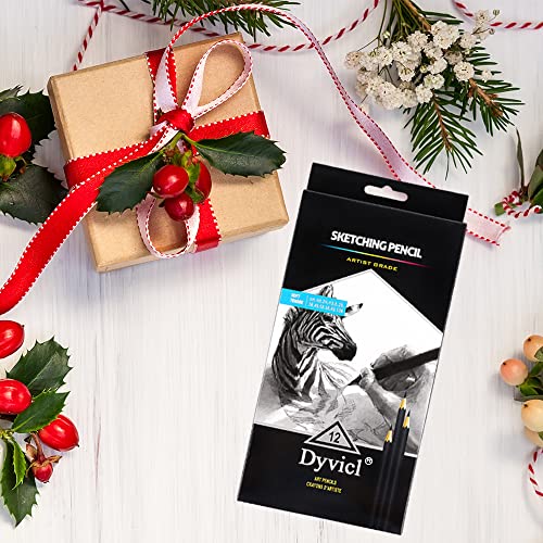 Dyvicl Professional Drawing Sketching Pencil Set - 12 Pieces Drawing Pencils 10B, 8B, 6B, 5B, 4B, 3B, 2B, B, Hb, 2H, 4H, 6H Graphite Pencils For Beginners & Pro Artists #TOP6