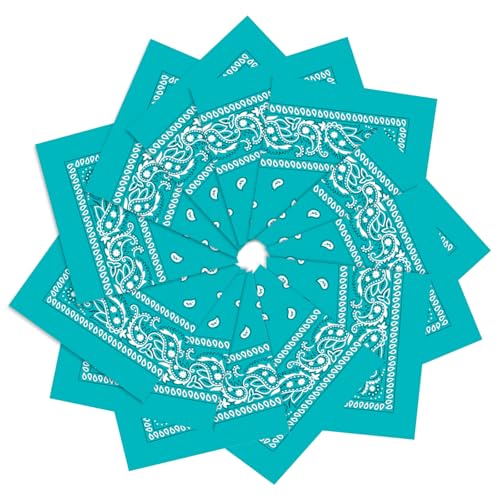 PJPSAA 12 Pack Bandanas Unisex Paisley Cowboy Bandanas Bulk Multi Purpose Headband Scarf for Men Women Costume