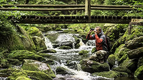 Steiner Safari Ultrasharp Binoculars Compact Lightweight Performance Outdoor Optics, 10X42 #TOP2