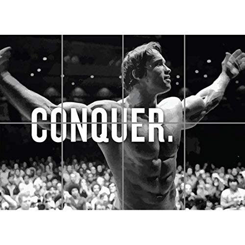 Doppelganger33 LTD Arnold Schwarzenegger Mr Universe Wall Art Multi Panel d'affiche 47x33 Pouces