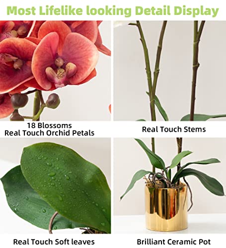 Artificial Orchid Flower Plants Real Touch Faux Orchids In Ceramic Vase Realistic Fuchsia Phalaenopsis Orchid Fake Flower Arrangement Centerpiece Table Decorations Vivid Plants For Home Indoor Decor #TOP1