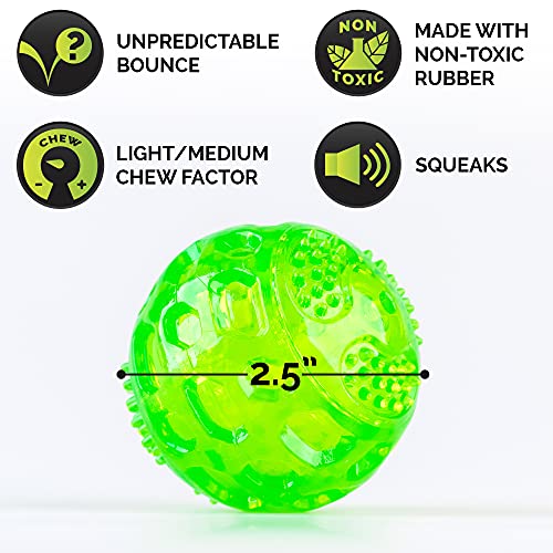 Hyper Pet Durasqueak Dog Ball Dog Toys (Interactive Dog Toys That Float&Squeak) Squeaky Dog Toys&Dog Balls For Playing,Fetching&Retrieving-Great Alternative To Traditional Tennis Balls Green 2.5 Inch #TOP3