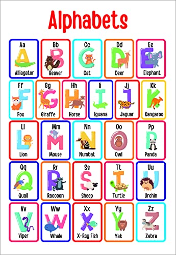 abcd charts for kids | Alphabet Chart for kids learning Kindergarten and Nursery Children ( Laminated, 12inch x 18inch )