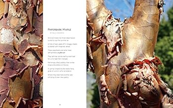 Perfect Paperback These Trees Book