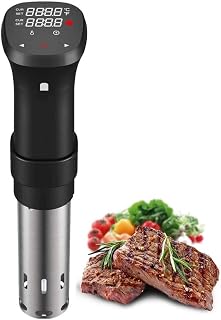 1100W sous vide stove, precise immersion temperature/timer, suitable for restaurants and kitchens