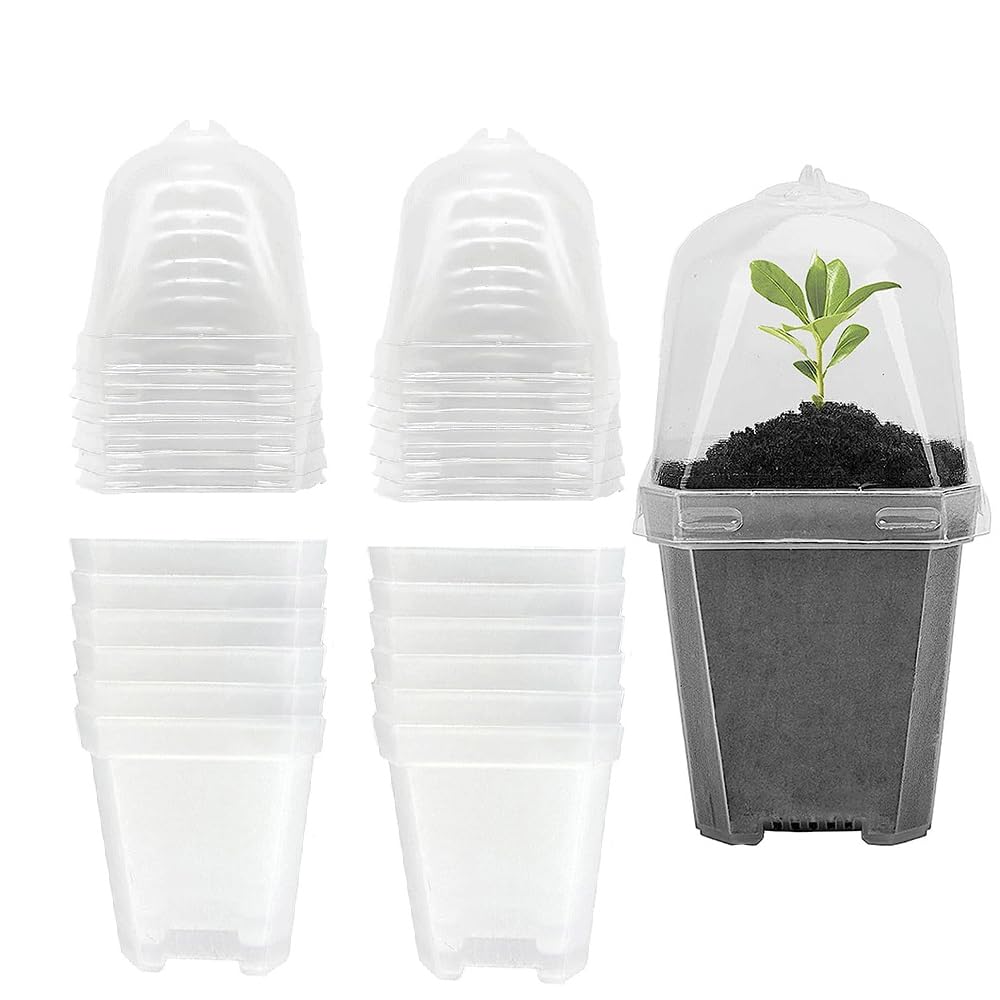SEIWEI Plant Flower Nursery Pots, 13.5cm Transparent Plastic Seed Seedling Pots with Humidity Dome and Tray, Square Flower Pots for Vegetables Flowers Succulents, Pack of 12