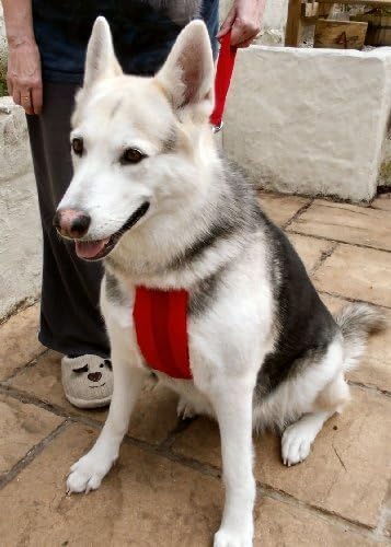 german shepherd harness amazon