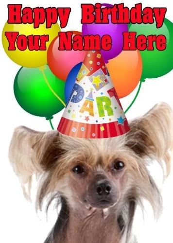 Chien Chinois A Crete Codecc De Carte De Fete D Anniversaire A5 Personnalise Carte De Vœux Amazon Fr Fournitures De Bureau