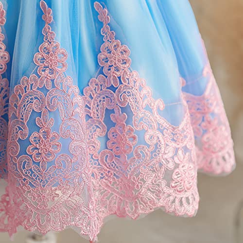 Image of HNXDYY Little Girls Princess Dress Girls Fancy Party Costume