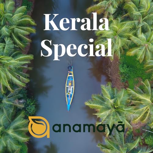 Image of Anamaya Elaichi | Cardamom | Green Cardamom Whole | 7 to 8 mm Big Size Bolts | Rich Aroma | Sourced from Kerala Farms | 100% Pure & Natural | 70 Gm | Packed in a reusable jar | Green Ilaichi