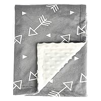 Algopix Similar Product 13 - BORITAR Baby Blanket Super Soft Minky
