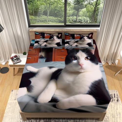 マットレスカバー かわいい ベッドカバー 子猫 キングサイズ ボックスシーツ マットレスプロテクター ベッド セット1ボックスシーツ枕カバー2枚43 x 63cm 着脱が簡単寝具カバーセット180x200x30cm