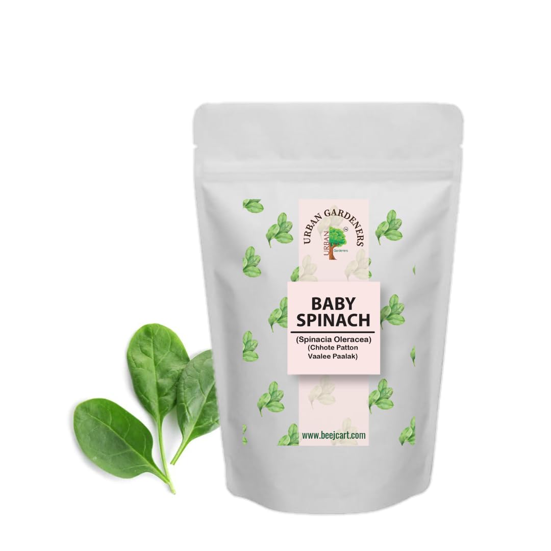 Baby Spinach Seeds 100 Seeds Organic Seeds Non-GMO Quick Growth (B0CKBY316D) Amazon Price History, Amazon Price Tracker