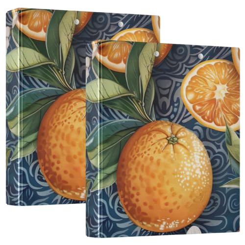 Classeur 3 anneaux grand format style vintage pour école et université