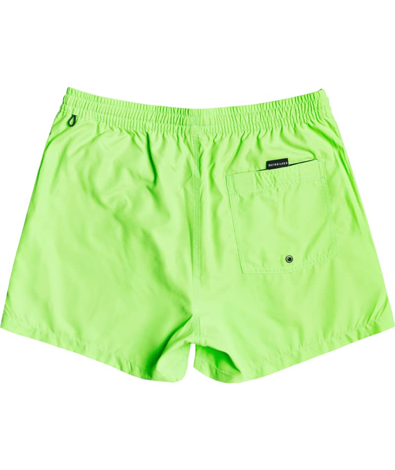 Quiksilver mens Everyday Volley 15 Boardshort Board Shorts, Green Gecko, Medium US