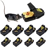 6 Stuks Muizenval,MINGJIANG Muis Traps Plastic Herbruikbare Professionele Muizenval,Mouse ​Traps voor Binnen die Kill Onmiddellijk, Knaagdier Trap, voor Keuken, Kamer, Huis en Tuin (8 PCS, Zwart)