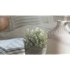 Product Photo 7