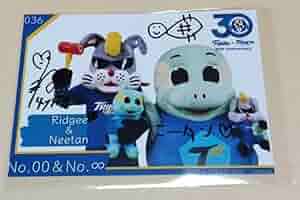 大分トリニータグッズまとめ売り　サイン入りフォト　サイン色紙　ボトル以外 511VlQ7yLBL._AC_SY200_QL15_.jpg