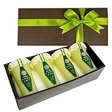 静岡 クラウンメロン �