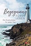 begegnung fürs leben mit lederhülle  Begegnung fürs Leben: Die Studienbibel für jeden Tag