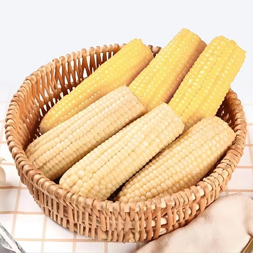 yʕĖ_5{+ʕĖ_5{zXaKOGIWA ʕ  2F gERV Ƃ낱 gERV gERV ``HEfpȊÂ ^pbN Y dqWOK XC[gR[Ƃ͈قȂ镗 Ɩp