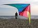 Jazz Dual-line Sport Kite, Spectrum, Ready to Fly with Flying Lines, Wrist Straps, Winder, Instructions and Storage Bag