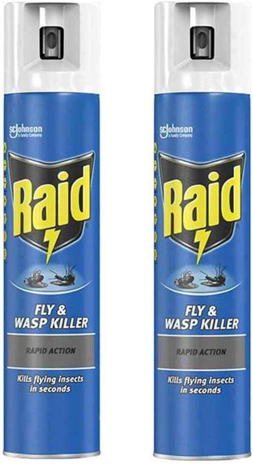 2 x Fly Wasp Killer Rapid Action Spray Can 300ml