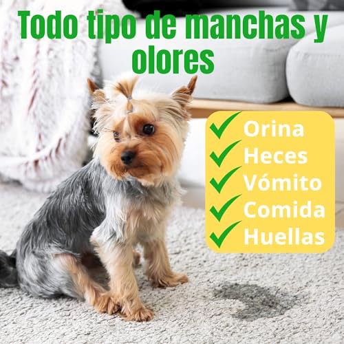 Limpiador de Manchas y Olores para Mascotas | Elimina Orina, Heces, Comida y Huellas | Evita Marcaje Repetido | Para Suelos, Alfombras y Tapicerías | Varios formatos (1, 5 Litros) - imagen 4