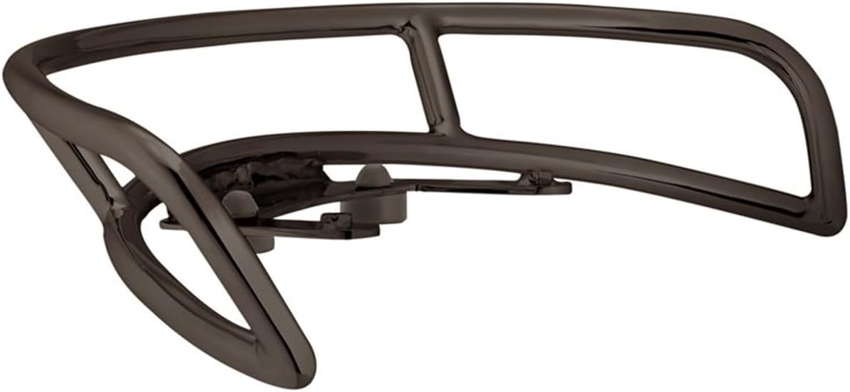 Indian Motorcycle OEM Pinnacle Solo Rider Grab Rail, Gloss Black, Steel, Qty 1, Part 2880752-266
