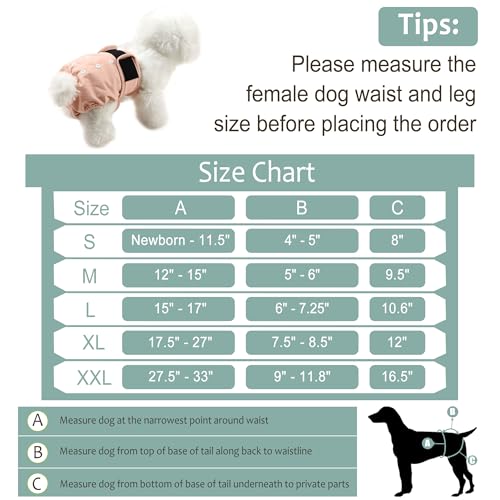Image of Female Dog Diapers 5Pcs - Premium Reusable Diapers for Doggie in Heat - Highly Absorbent Dog Diapers Female for Pet Incontinence with Adjustable Snaps, XXL