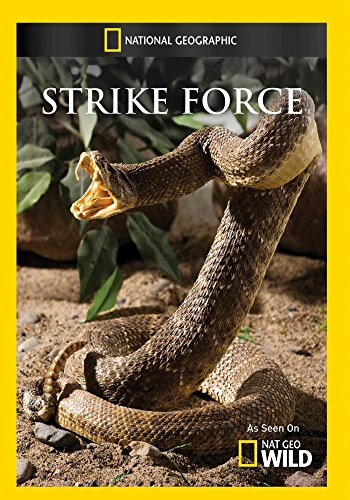 Strike Force Strike Force