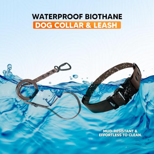 Image of Adil's Biothane Waterproof Dog Collar, Dog Leash & Collar Leash Combo | Heavy Duty TPU Coated Webbing | Adjustable Quick Release Buckle | Odour Resistant (Brown, L-22, Collar & Leash Combo)
