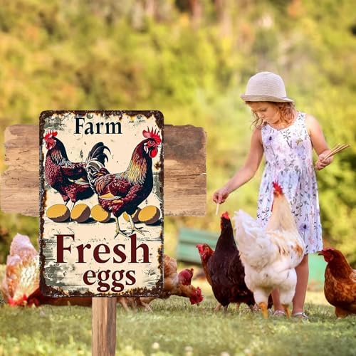 Vintage Tin Chicken Sign - Rustic Farmhouse Kitchen Decor