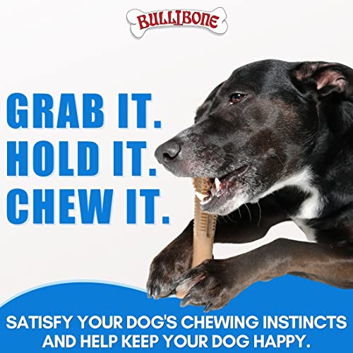Image of Bullibone SuperBrush Dog Dental Chew Toy for Small and Medium Breeds (2 Pack) - Long Lasting Nylon Toothbrush Stick for Teeth Cleaning, Rawhide Free, Made in USA, Apple Cinnamon