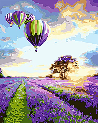 BLUEDRM Malen nach Zahlen Leinwand DIY Acrylmalerei für Erwachsene und Kinder mit Farben, Pinsel und kartengroße Lupe