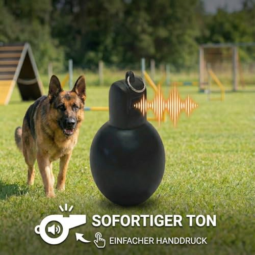 BEST SPORTING Handpfeife für den Sportunterricht – Hygienische Handbedienung & kräftiger Pfiff durch PVC-Blasebalg – Schwarze Trillerpfeife