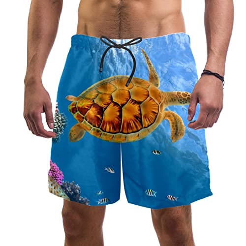 Short de plage tortue maillots de bain hommes contre l'humidité